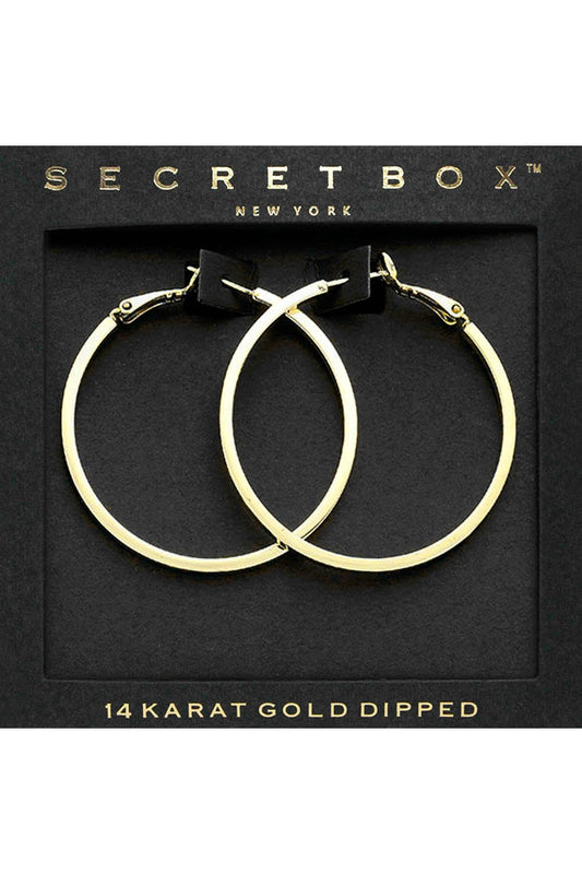 WONA Secret Box14k Gold Dipped Hoop Earrings