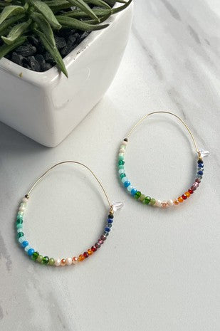 DYLAN Luisa Earrings Multicolor